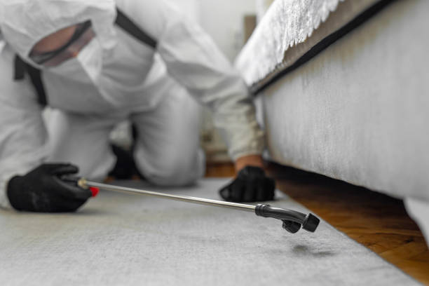 Professional Cockroach Control technician working in Story City, IA