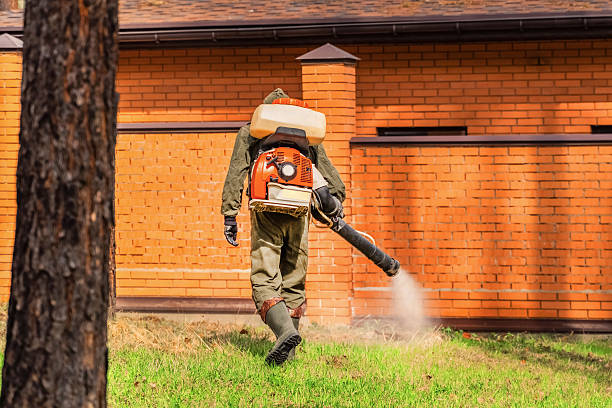Trusted Ant Control service in Story City, IA - Nex Pest Control